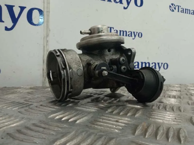 Valvula Egr para Volkswagen Passat Berlina (3B3)