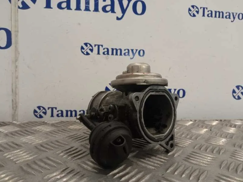 Valvula Egr para Volkswagen Passat Berlina (3B3)
