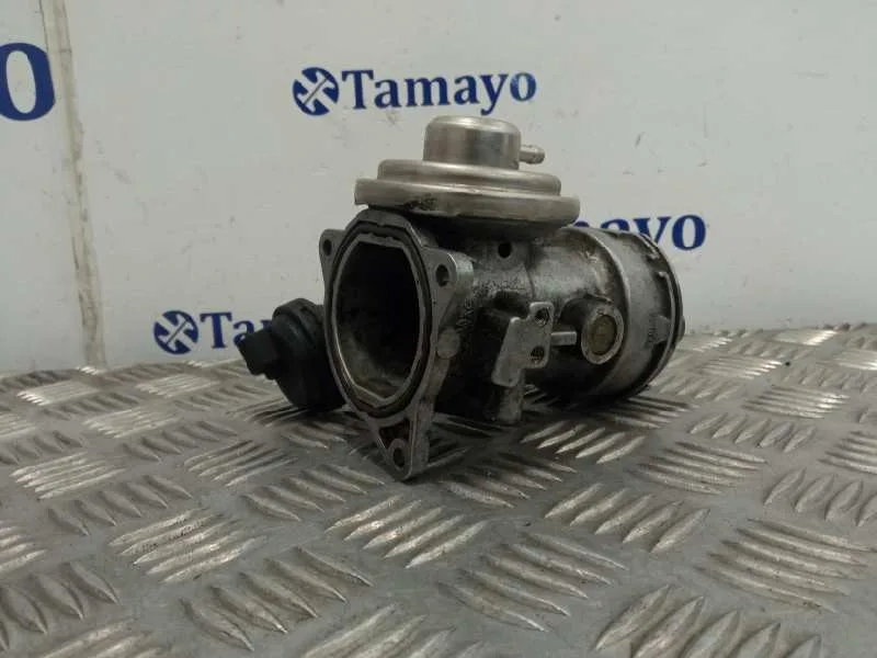 Valvula Egr para Volkswagen Passat Berlina (3B3)