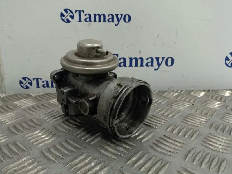 Valvula Egr para Volkswagen Passat Berlina (3B3)