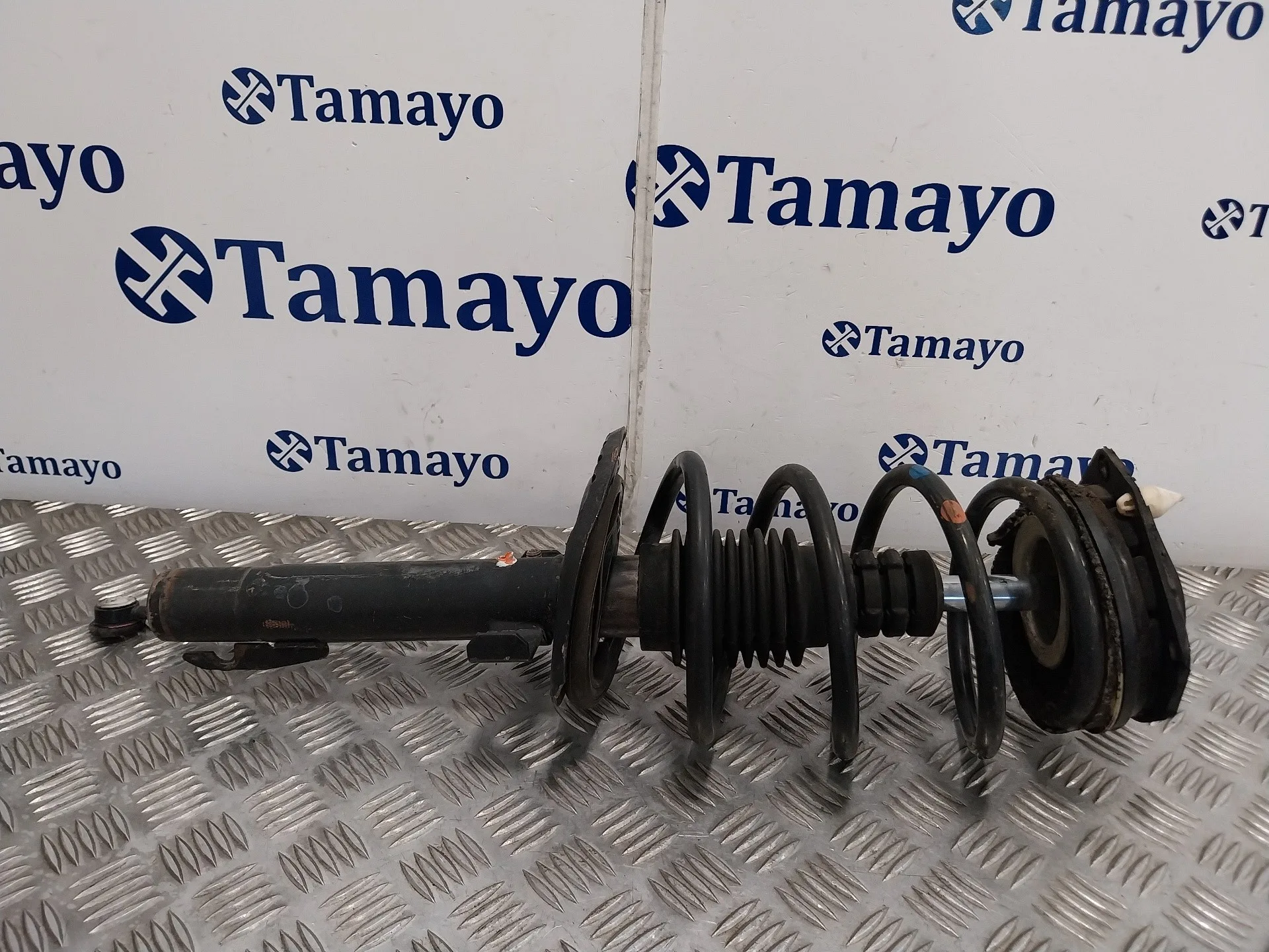 Amortiguador Delantero Derecho para Renault Scenic Ii