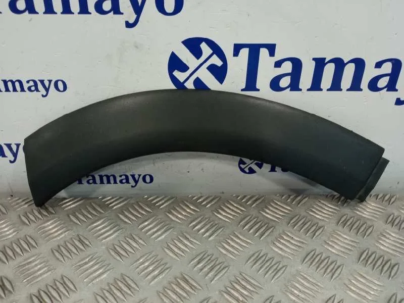 Aletin Delantero Izquierdo para Bmw Mini (R50,R53)