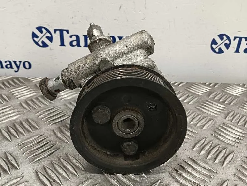 Bomba Direccion para Iveco 35S12