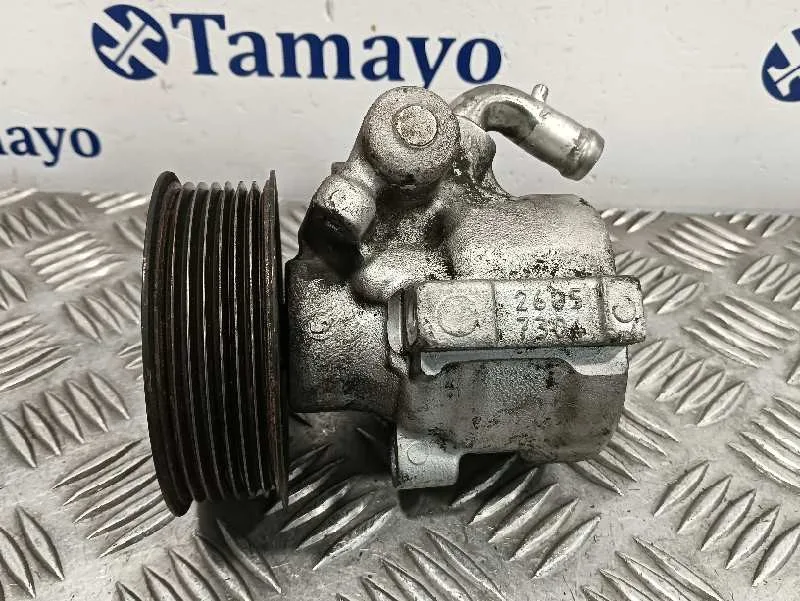 Bomba Direccion para Iveco 35S12