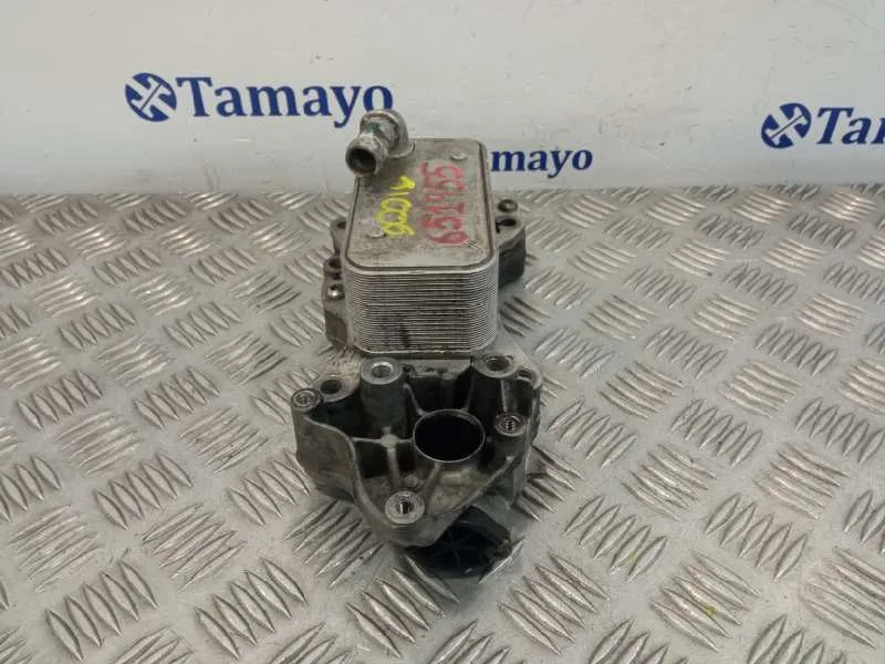 Enfriador Aceite Motor para Mercedes-Benz Sprinter 5-T Caja/Chasis (B906)
