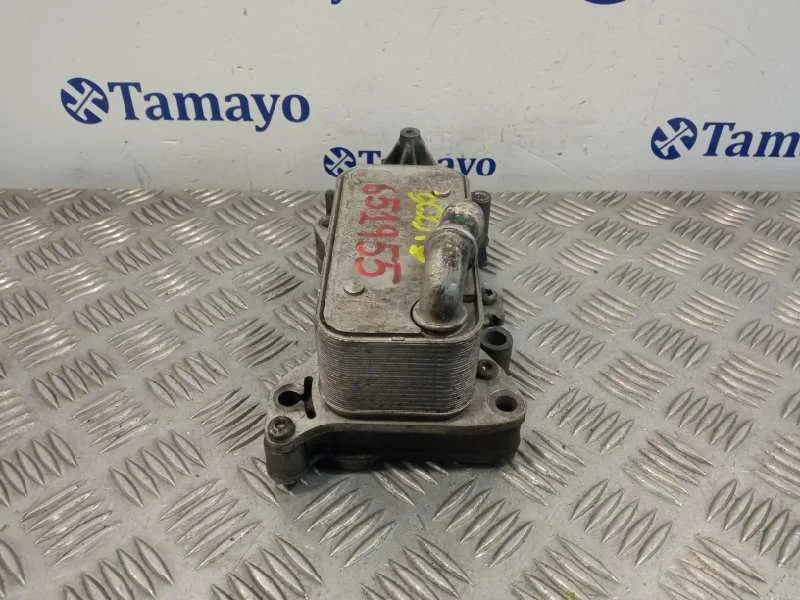 Enfriador Aceite Motor para Mercedes-Benz Sprinter 5-T Caja/Chasis (B906)
