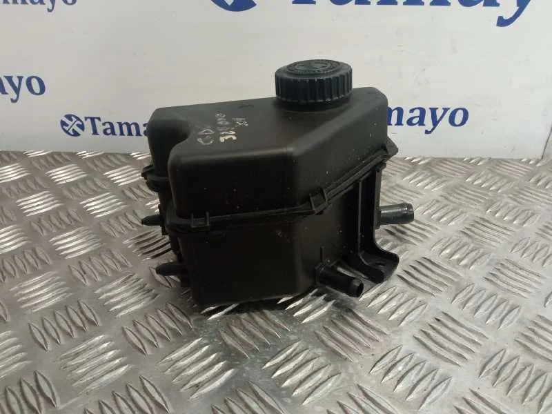 Deposito Servo para Citroën Xsara Picasso