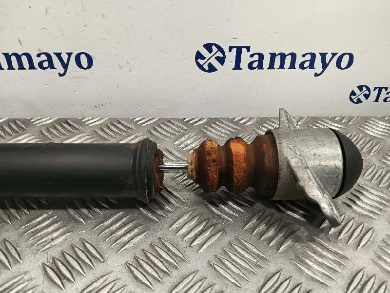 Amortiguador Trasero Derecho para Seat Ibiza Sc (6J1)