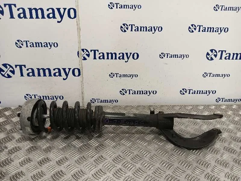 Amortiguador Delantero Derecho para Bmw X6 (F16, F86)