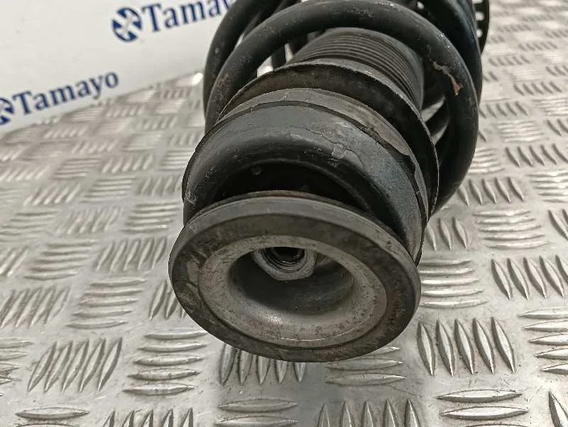Amortiguador Delantero Izquierdo para Seat Ibiza Sc (6J1)