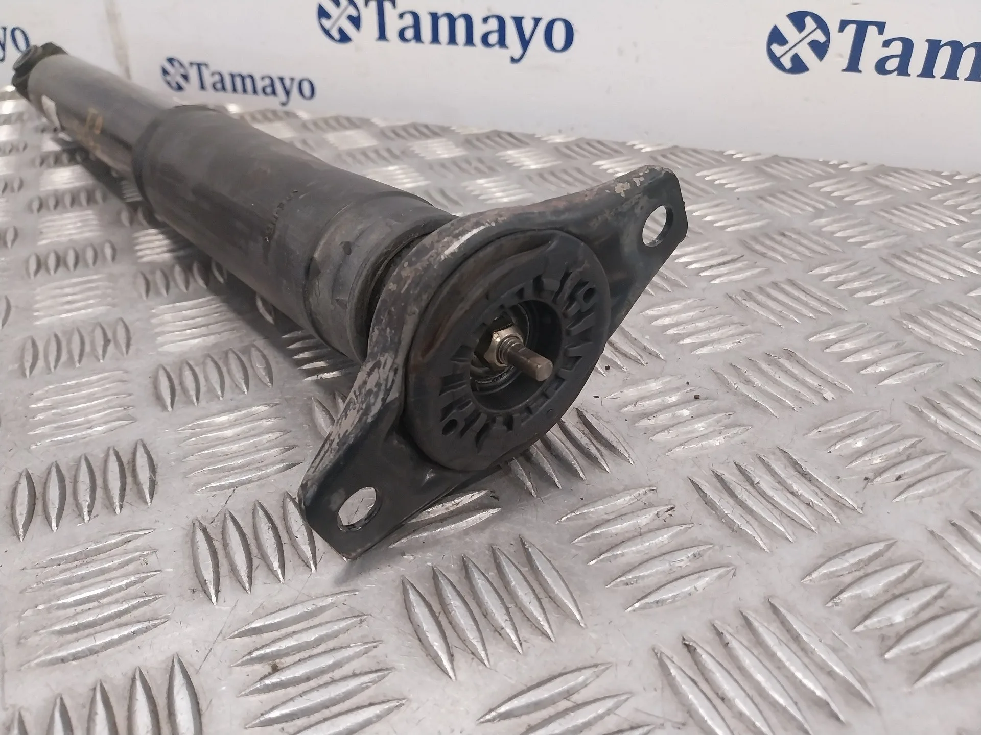 Amortiguador Trasero para Ford S-Max (Ca1)