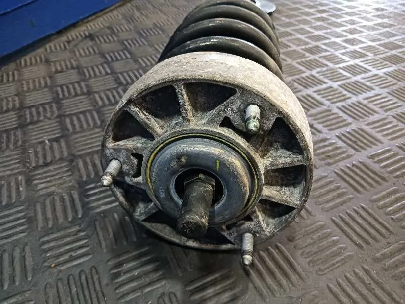Amortiguador Delantero Izquierdo para Bmw X6 (F16, F86)