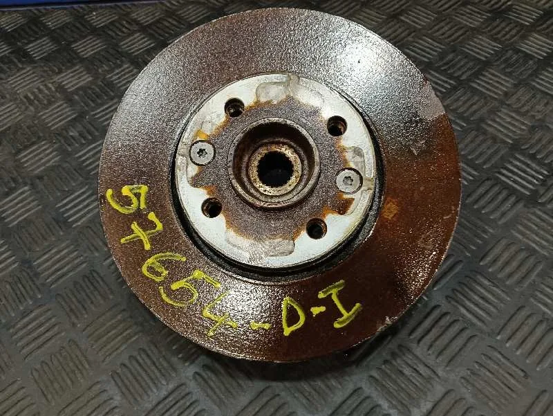 Mangueta Delantera Izquierda para Renault Clio V