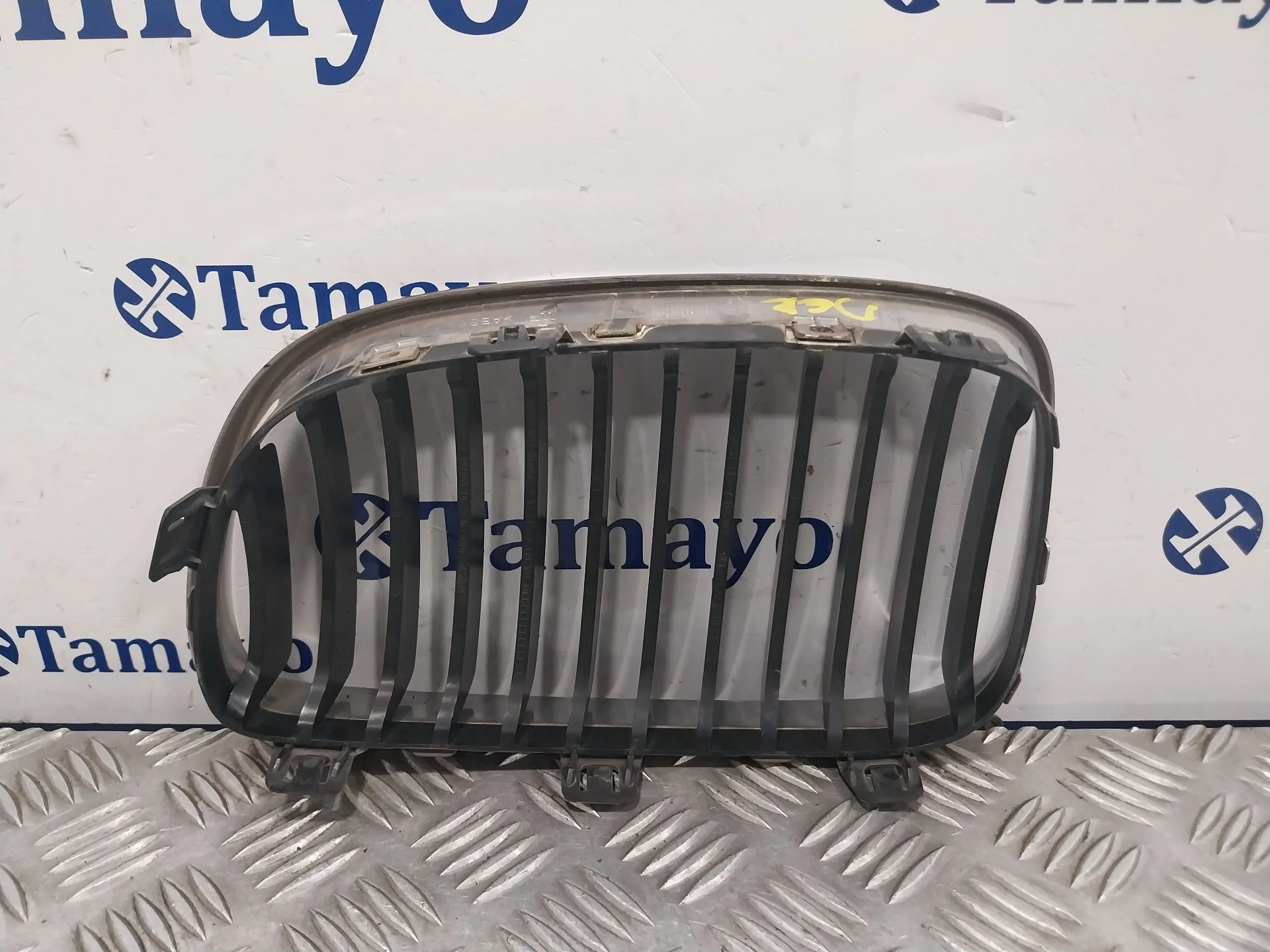 Rejilla Paragolpes Delantero para Bmw Serie 1 Berlina (E81/E87)