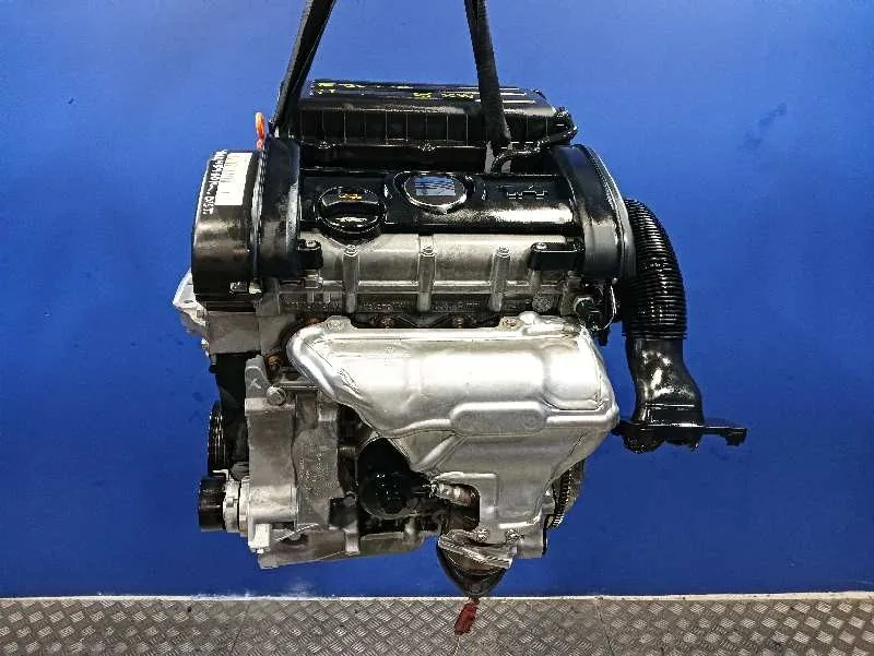 Motor Completo para Seat Ibiza (6L1)
