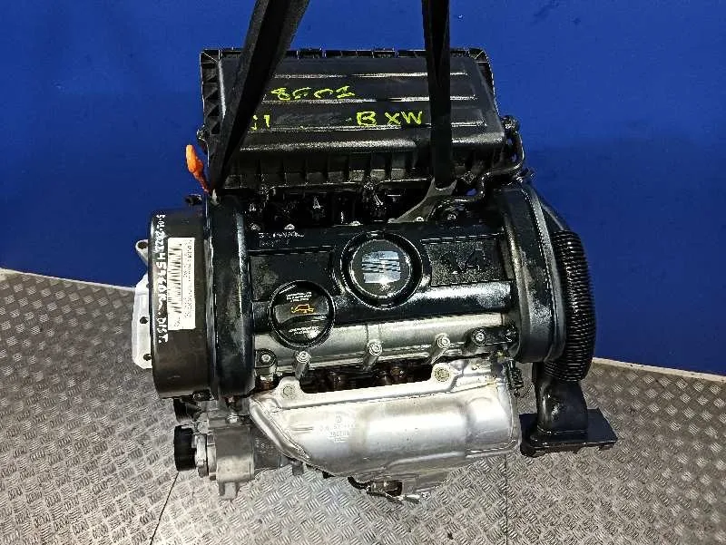 Motor Completo para Seat Ibiza (6L1)