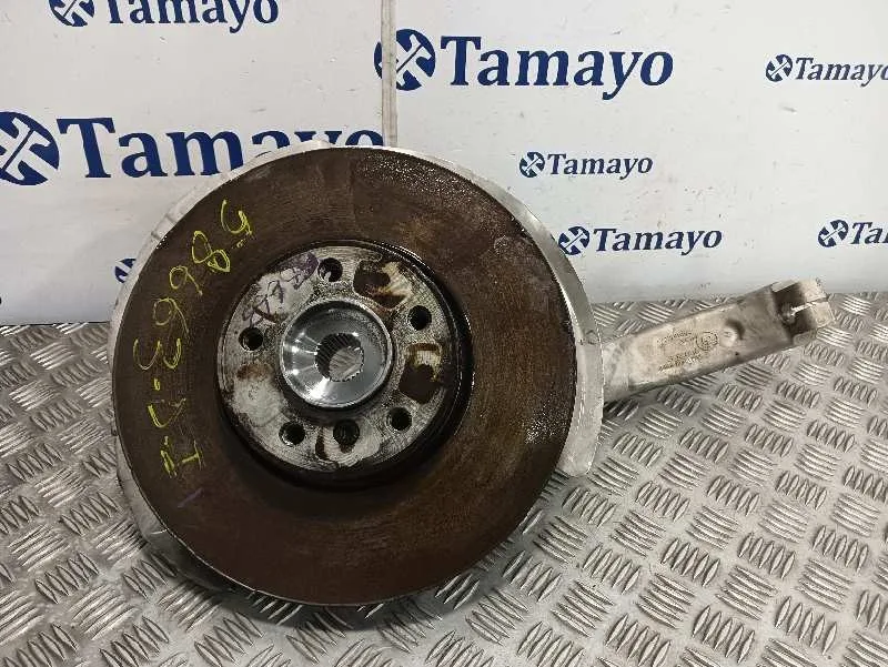 Mangueta Delantera Izquierda para Bmw X6 (F16, F86)