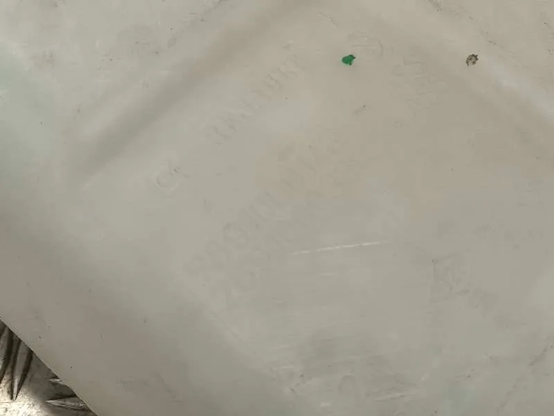 Deposito Limpia para Renault Scenic Iii
