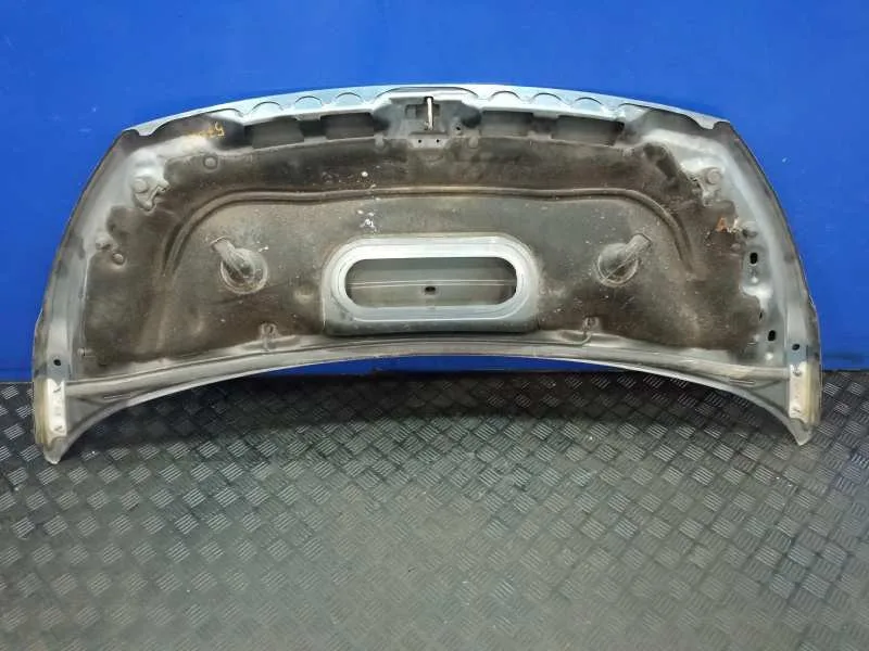 Capot para Peugeot Expert Tepee