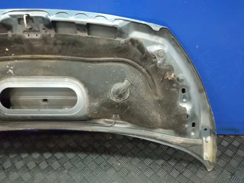 Capot para Peugeot Expert Tepee