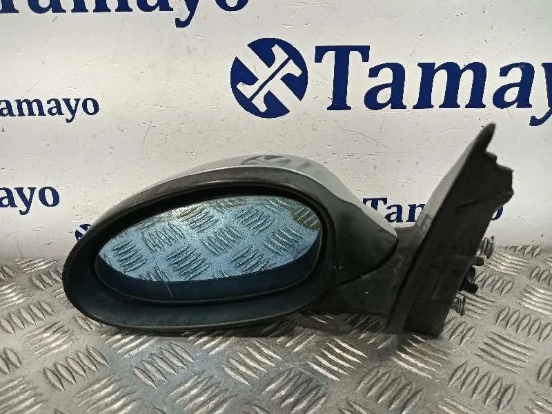 Retrovisor Izquierdo para Bmw Serie 3 Berlina (E90)