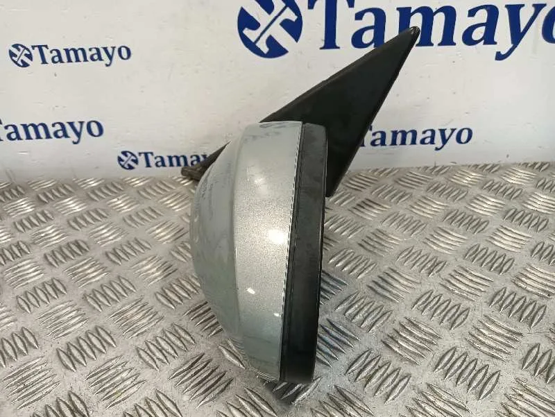 Retrovisor Izquierdo para Bmw Serie 3 Berlina (E90)