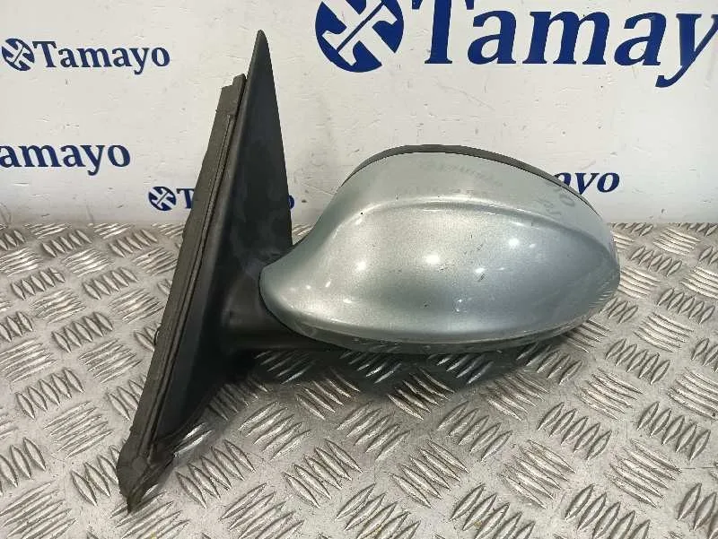 Retrovisor Izquierdo para Bmw Serie 3 Berlina (E90)