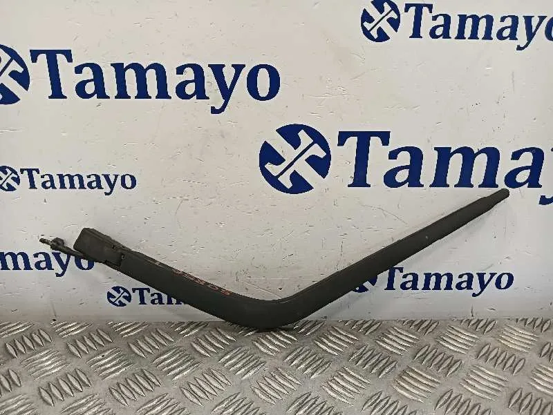 Brazo Limpia Trasero para Land Rover Freelander (Ln)