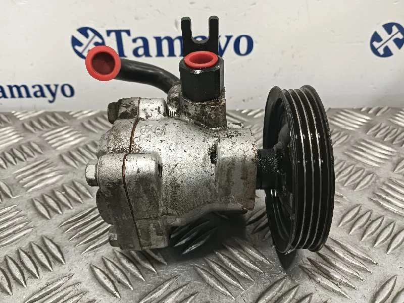 Bomba Direccion para Hyundai Getz (Tb)