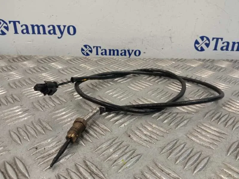 Sonda Lambda para Bmw X6 (F16, F86)