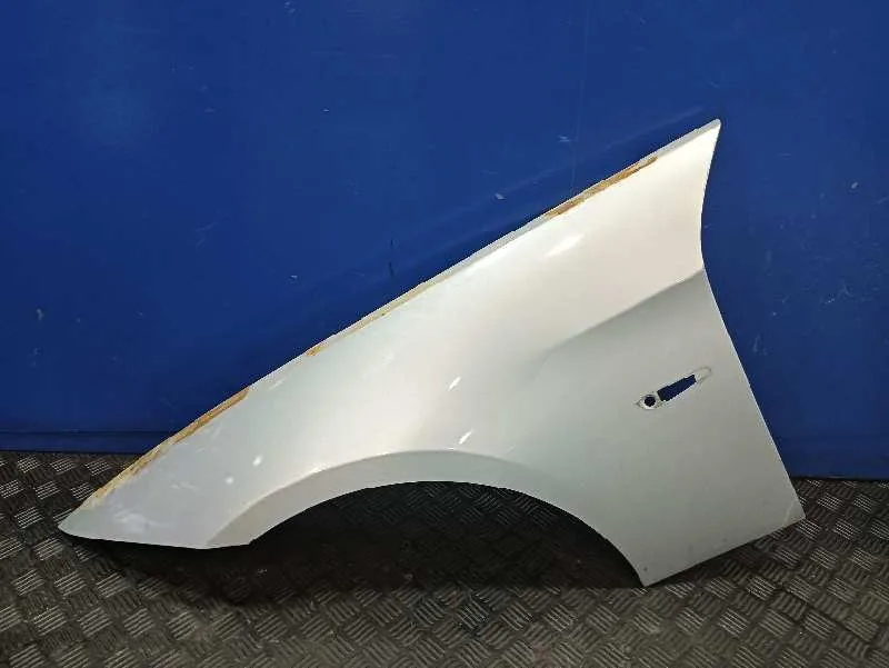 Aleta Delantera Izquierda para Bmw Serie 3 Berlina (E90)