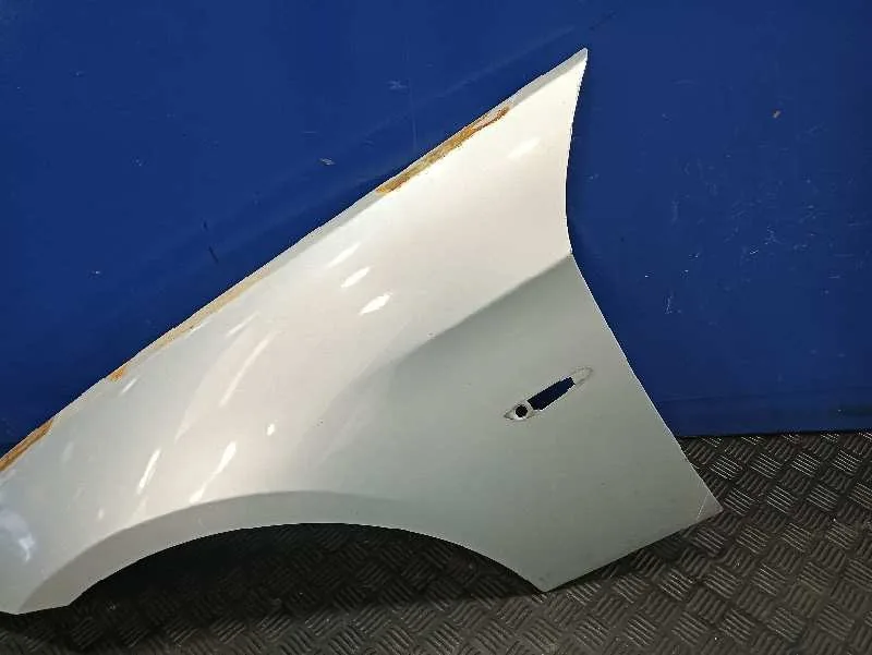 Aleta Delantera Izquierda para Bmw Serie 3 Berlina (E90)