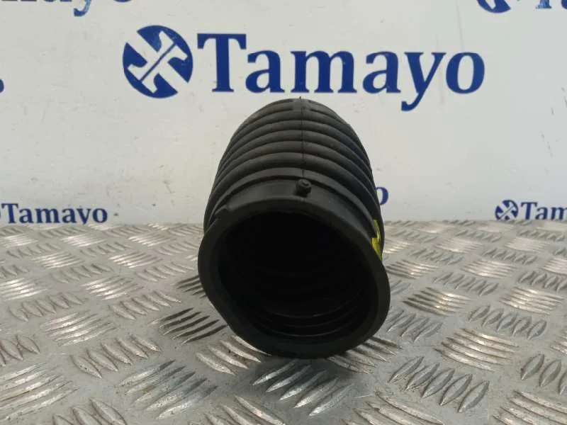 Tubo Presion Turbocompresor para Nissan Qashqai (J10)