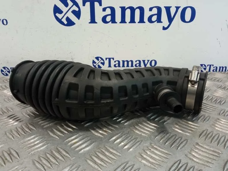 Tubo Presion Turbocompresor para Nissan Qashqai (J10)