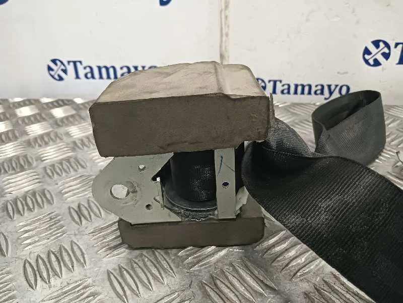 Cinturon Seguridad Trasero Derecho para Audi A3 Sportback (8P)