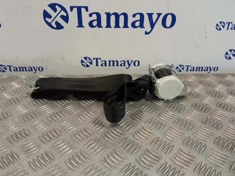 Cinturon Seguridad Trasero Izquierdo para Audi A3 Sportback (8P)