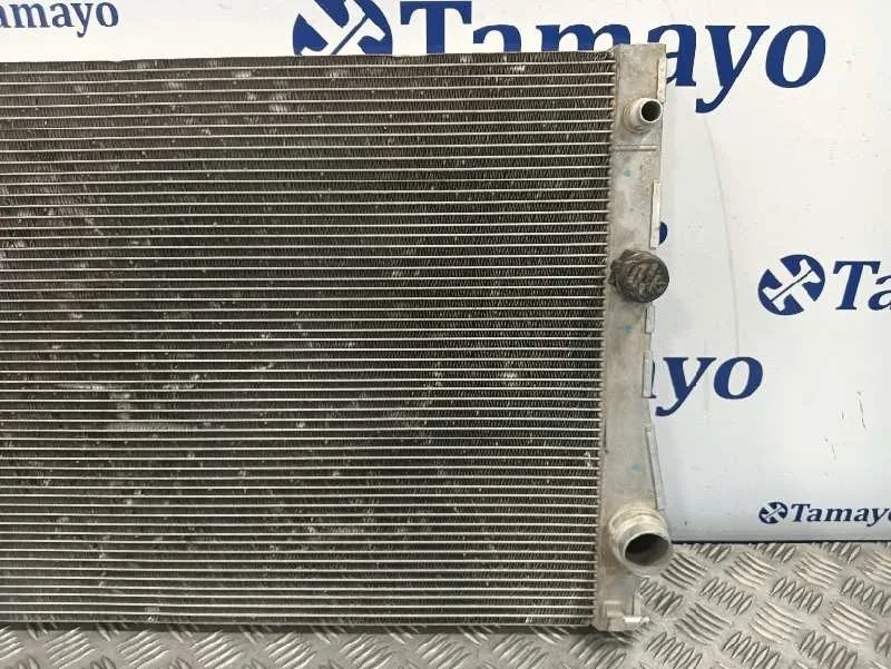 Radiador Agua para Bmw X6 (F16, F86)