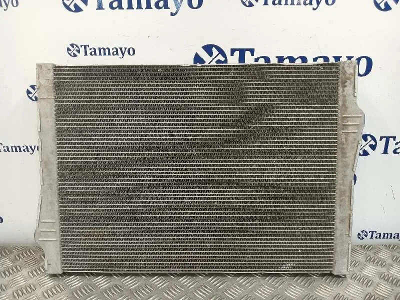 Radiador Agua para Bmw X6 (F16, F86)