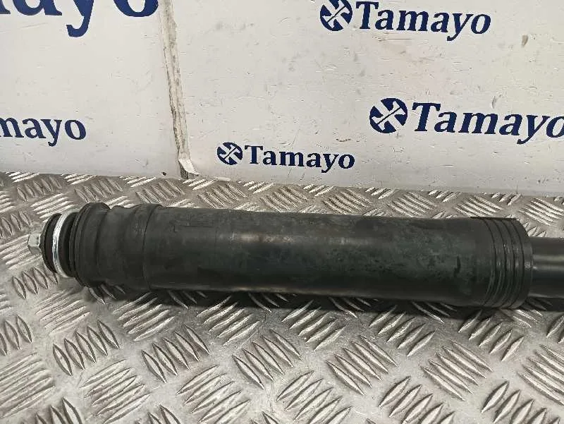 Amortiguador Trasero Derecho para Toyota Prius (Nhw30)