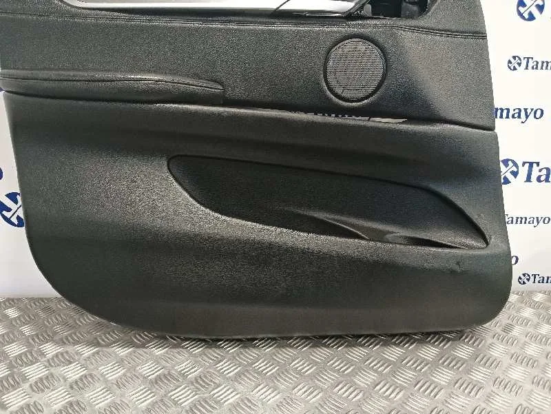 Guarnecido Puerta Delantera Izquierda para Bmw X6 (F16, F86)