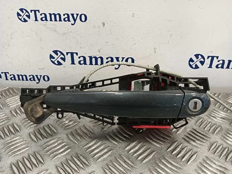 Maneta Exterior Delantera Izquierda para Bmw Serie 3 Lim. (F30)
