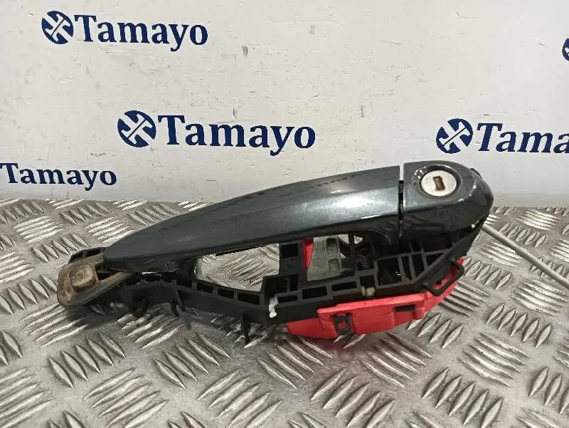 Maneta Exterior Delantera Izquierda para Bmw Serie 3 Lim. (F30)