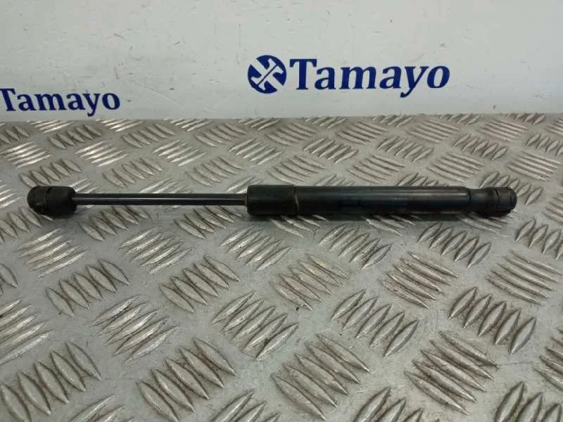 Amortiguadores Maletero / Porton para Audi A4 Berlina (8E)