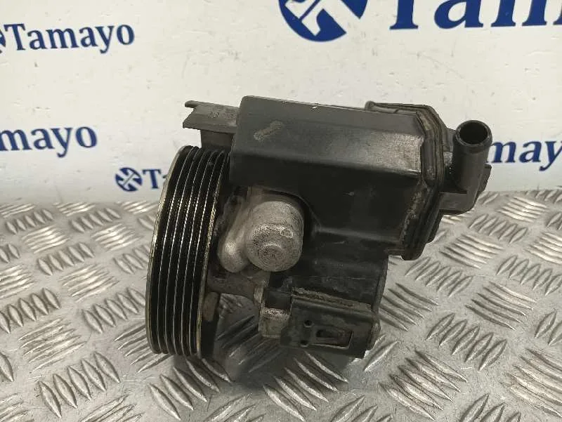 Bomba Direccion para Citroën Berlingo