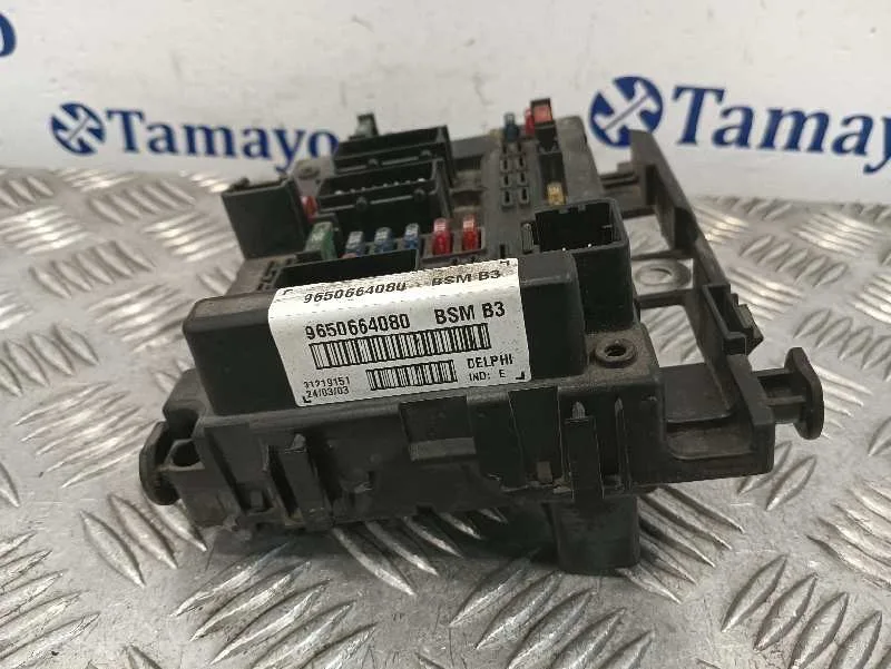 Caja Reles / Fusibles para Peugeot 307 (S1)