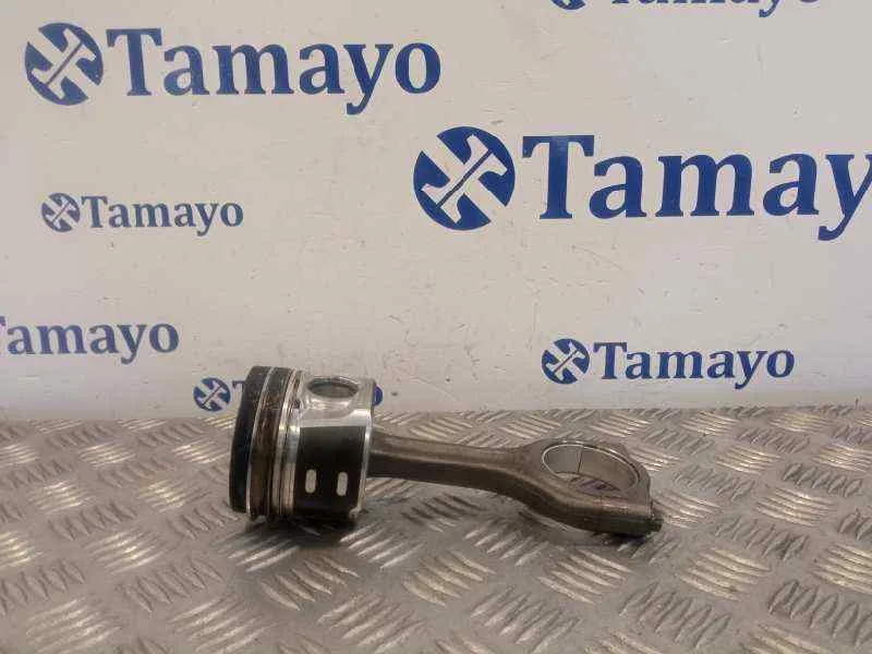 Piston para Peugeot Partner Kombi