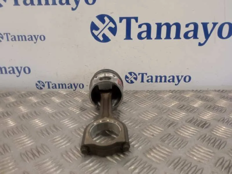 Piston para Peugeot Partner Kombi