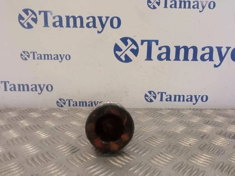 Piston para Peugeot Partner Kombi