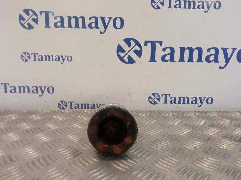 Piston para Peugeot Partner Kombi