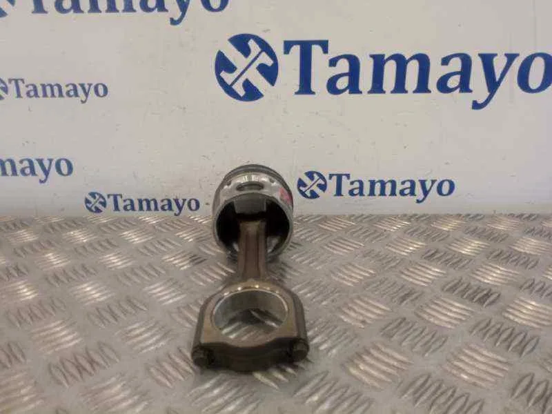 Piston para Peugeot Partner Kombi